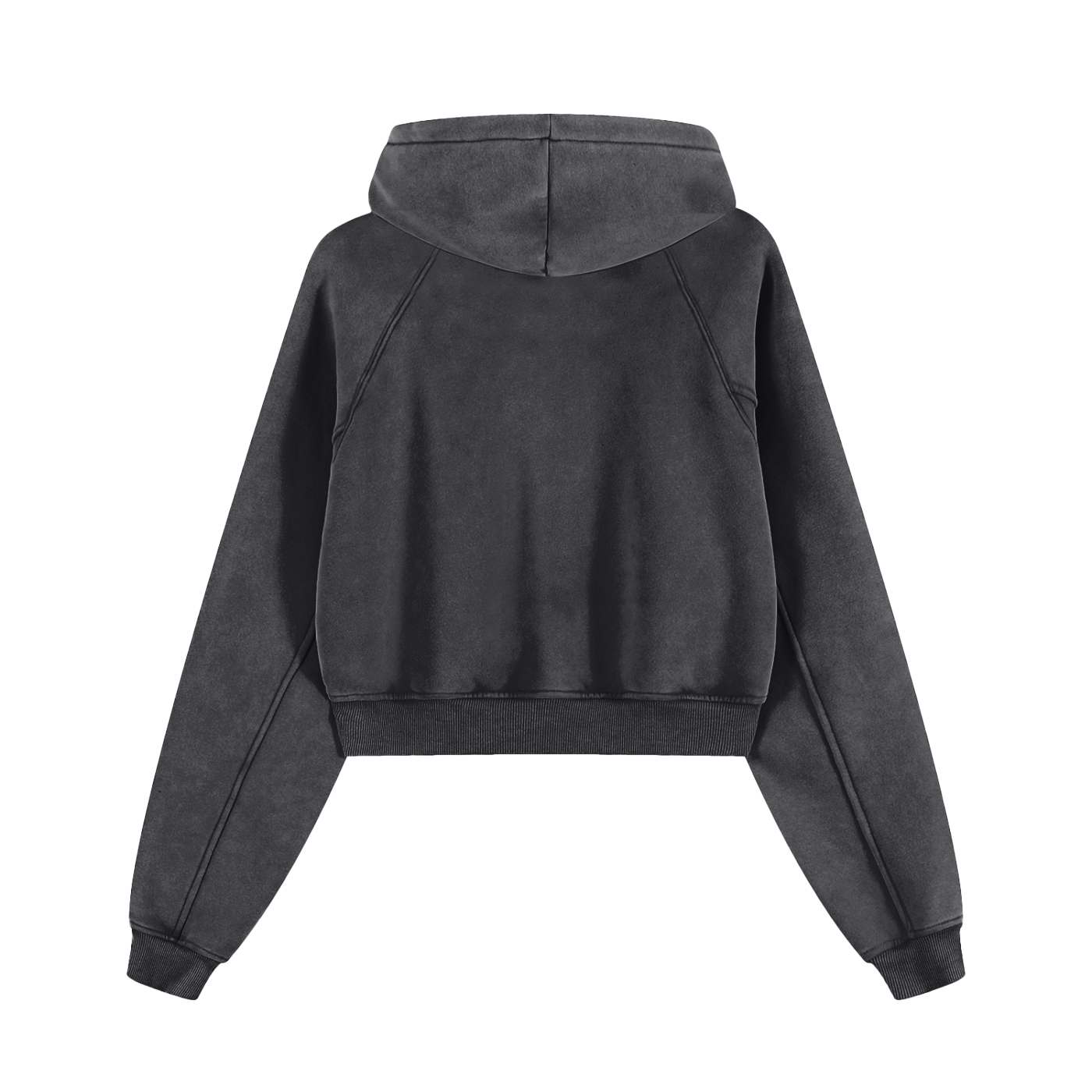 ACE Cropped Hoodie